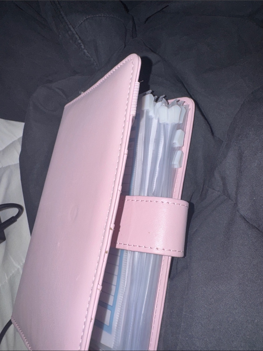 Pink Accessory Organizer Case budget planner a